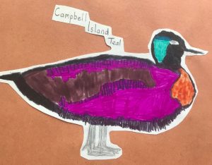 Crowlink Teal Drawing