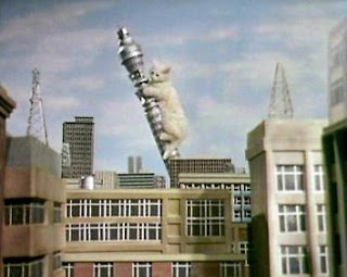 Kitten Kong